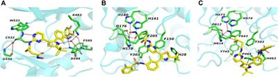 Discovery of BRAF/HDAC Dual Inhibitors Suppressing Proliferation of Human Colorectal Cancer Cells